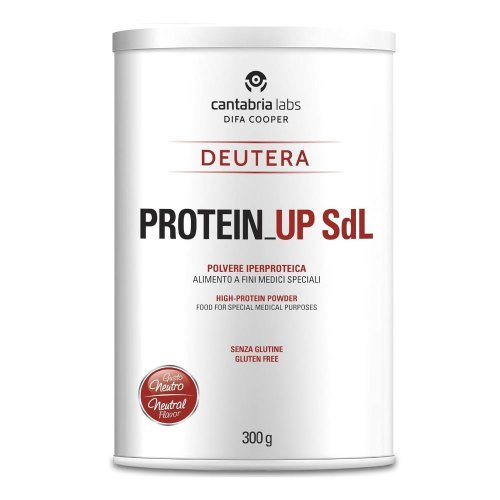 PROTEIN UP SDL            300GR      BAR PROTEIN UP SDL            300GR      BAR
