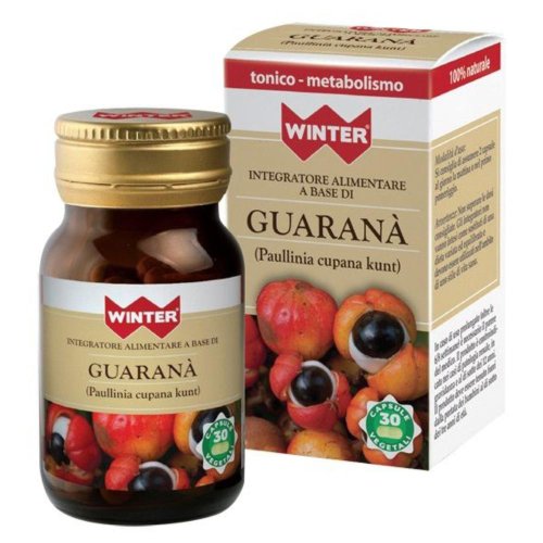 WINTER GUARANA' 30CPS VEG WINTER GUARANA' 30CPS VEG