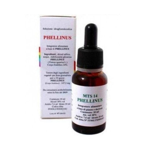 MTS14 PHELLINUS GTT 20ML