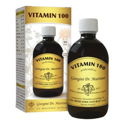 VITAMIN 100 LIQUIDO ANALC500ML