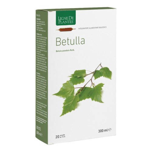 LIGNE DE PLAN.BETUL20A15ML