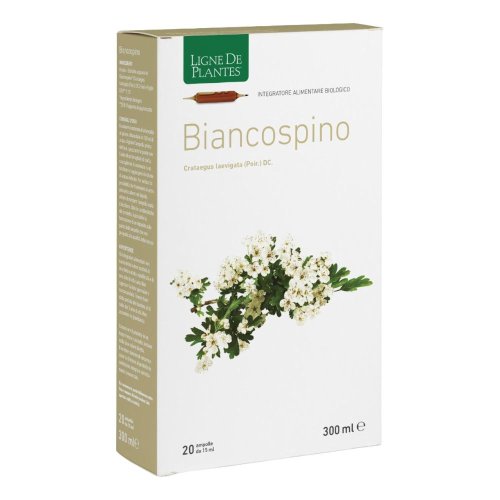 LIGNE DE PLAN.BIANC20A15ML LIGNE DE PLAN.BIANC20A15ML