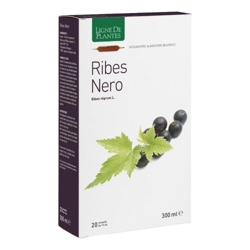 LIGNE DE PLAN.R/NER20A15ML