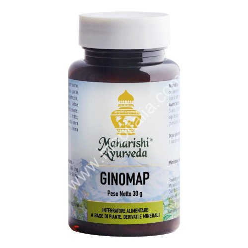 GINOMAP 60TAV