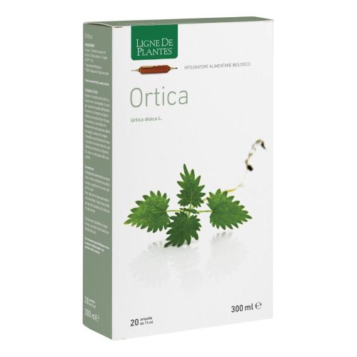 LIGNE DE PLAN.ORTI 20A15ML LIGNE DE PLAN.ORTI 20A15ML