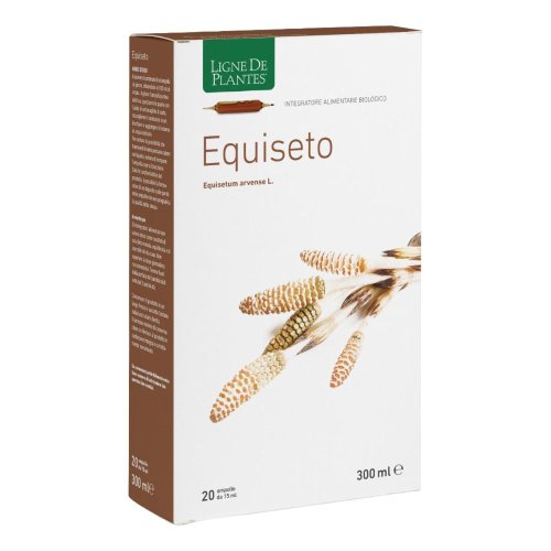LIGNE DE PLAN.EQUIS20A15ML LIGNE DE PLAN.EQUIS20A15ML