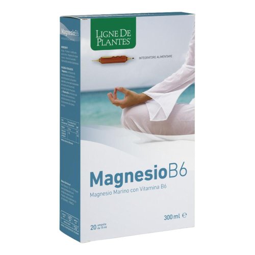MAGNESIO B6 20AB 15ML MAGNESIO B6 20AB 15ML