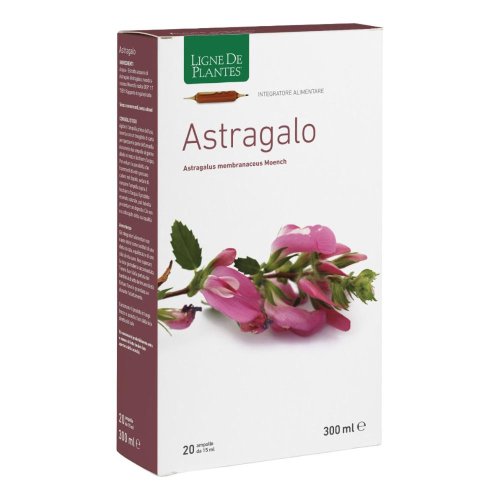 LIGNE DE P.ASTRA20AMP 15ML