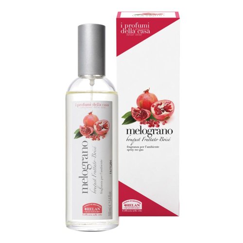 MELOGRANO CASA SPRAY 100ML