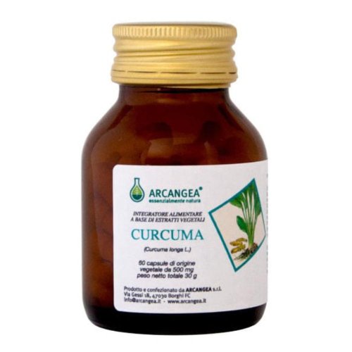 CURCUMA 60CPS 500MG ARC