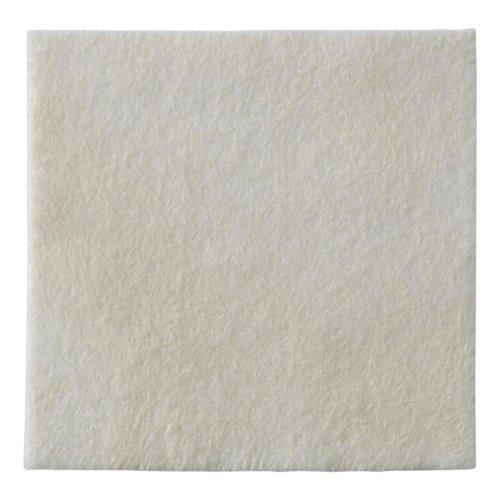 BIATAIN ALG MEDIC 15X15CM 10PZ