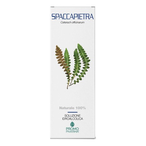 SPACCAPIETRA SOMM 100G PMP