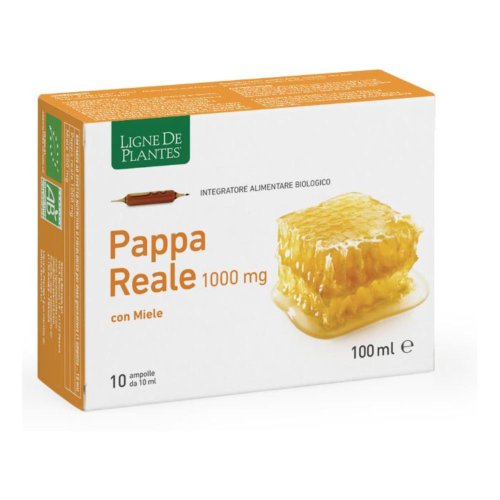PAPPA REALE BIO 1000MG10AM