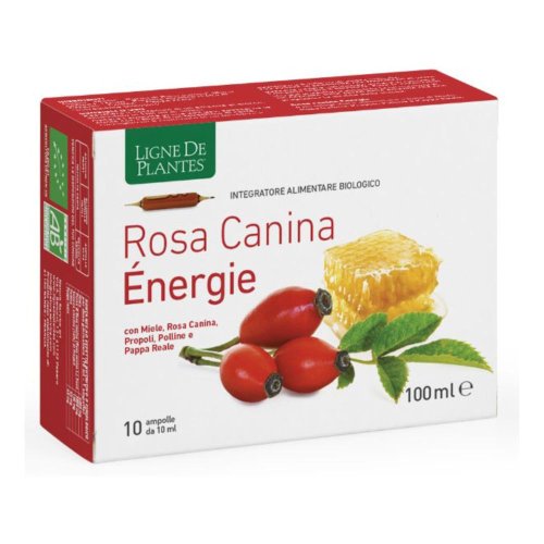 ROSA CANINA ENERGY 10FLL 10ML