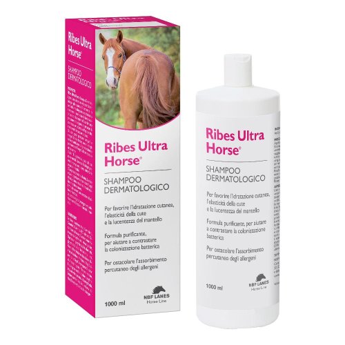 RIBES HORSE SH ULTR1.000ML