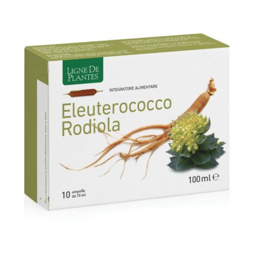 ELEUTEROCOCCO ROD 10AB ELEUTEROCOCCO ROD 10AB
