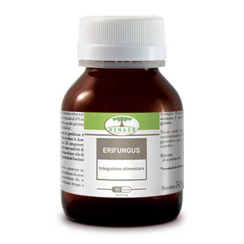 <ERIFUNGUS                        60 CPS