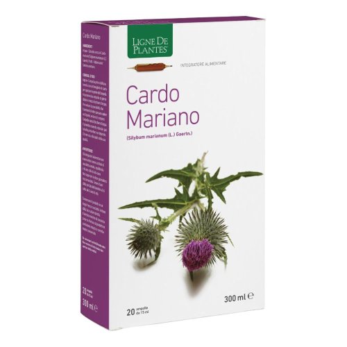 CARDO MARIANO 20AB 15ML