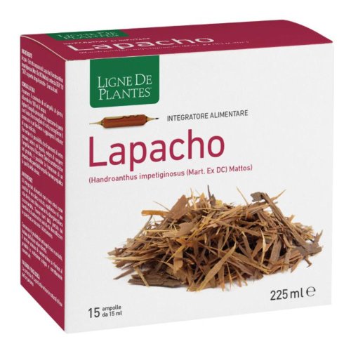 LIGNE DE PLAN.LAPACHO15X15