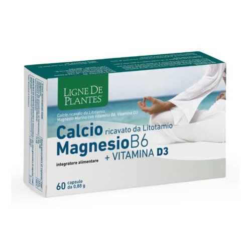 CALCIO+MAGNESIO B6+VITD3 60CPS - Minerali per la salute del corpo che contribuiscono al mantenimento di ossa e denti normali, funzione muscolare e funzionamento del sistema nervoso CALCIO+MAGNESIO B6+VITD3 60CPS - Minerali per la salute del corpo che contribuiscono al mantenimento di ossa e denti normali, funzione muscolare e funzionamento del sistema nervoso