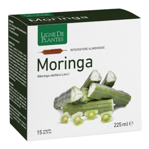 MORINGA 15AB 15ML