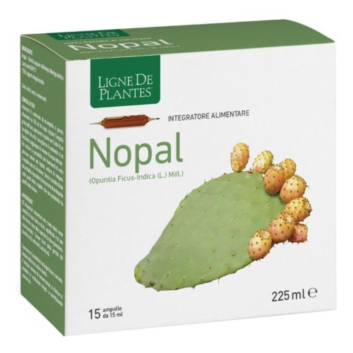 LIGNE DE PLAN.NOPAL15A15ML