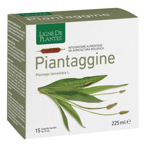 PIANTAGGINE 15AMP 15ML PIANTAGGINE 15AMP 15ML