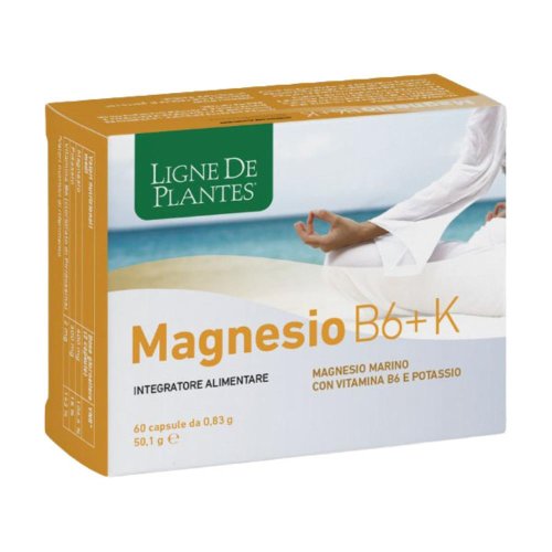 MAGNESIO B6+K 60CPS 44,4G MAGNESIO B6+K 60CPS 44,4G