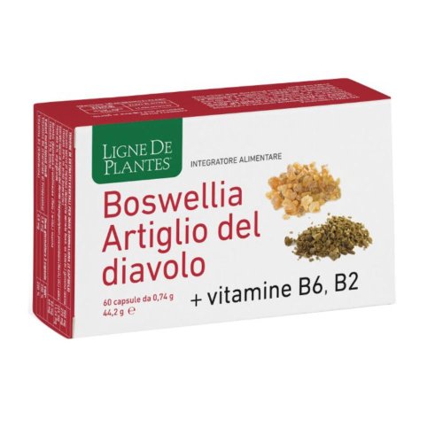 BOSWELLIA+ART D+VIT 60CPS