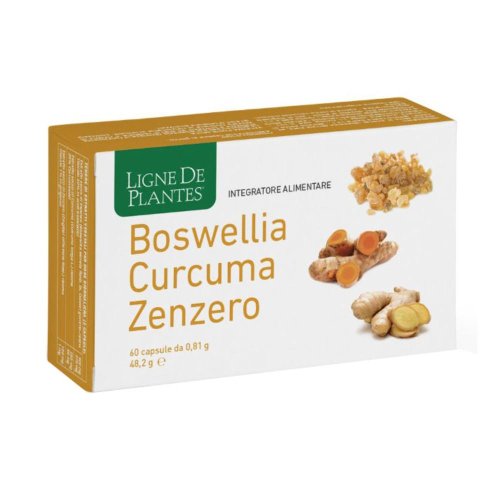 BOSWELLIA CURC ZEN 60CPS