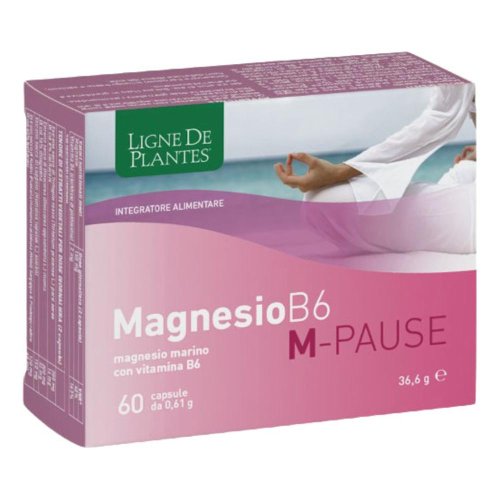MAGNESIO B6 PAUSE 60CPS MAGNESIO B6 PAUSE 60CPS