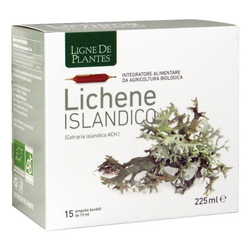 LICHENE ISLAND15AMPX15ML