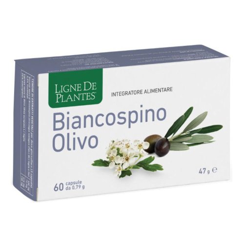 LIGNE BIANCOSPINO OL 60CPS