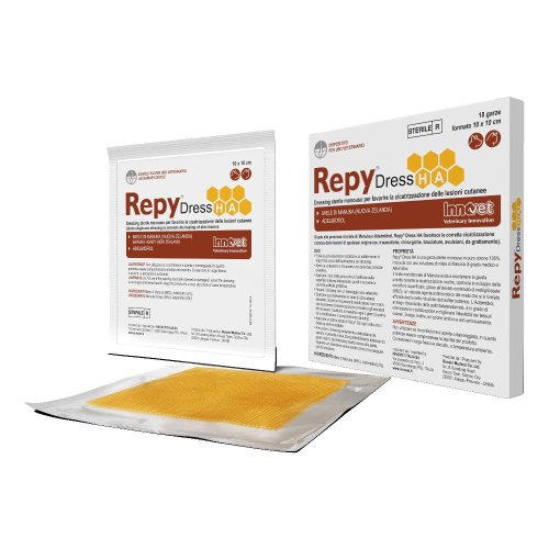 REPY DRESS HA GARZE 10X10CM       10 PEZ
