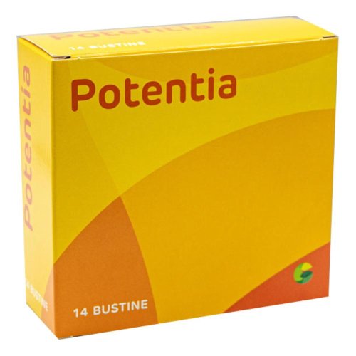 POTENTIA 14BUST POTENTIA 14BUST