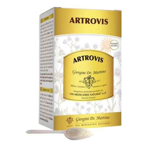 ARTROVIS POLVERE SOLUBILE 360G
