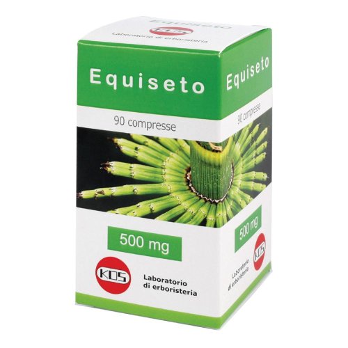 EQUISETO 90CPR 500MG