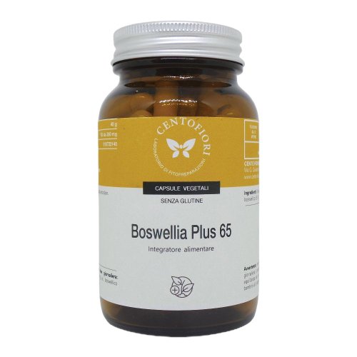 BOSWELLIA PL65 100CPSV CFI