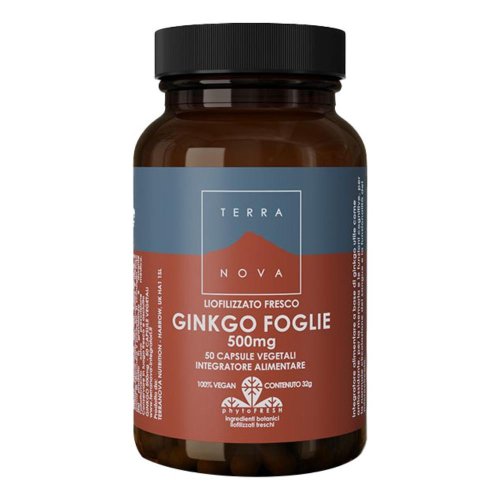 <TERRANOVA FOGLIE GINKGO TN3265   50 CPS