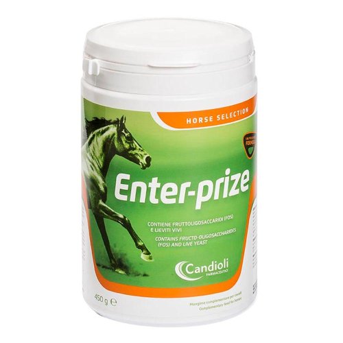ENTER-PRIZE 450G ENTER-PRIZE 450G