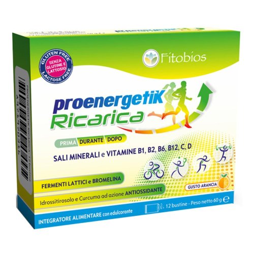 PROENERGETIK RICARICA 12BS