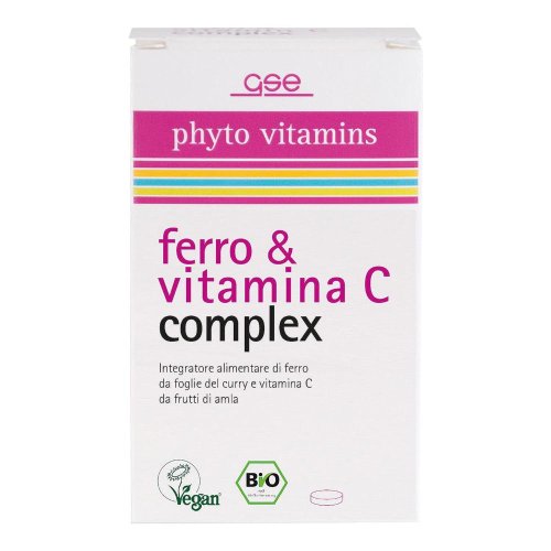 FERRO E VIT C COMP GSE BTB