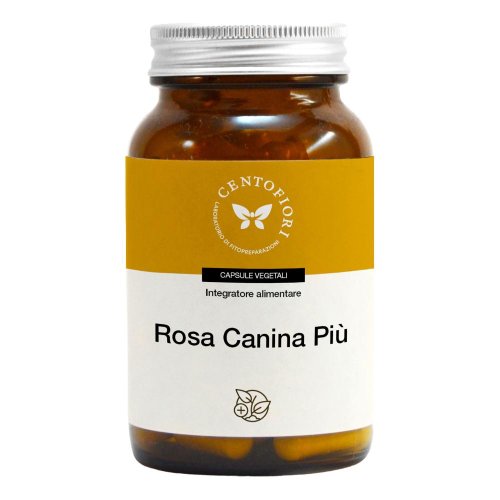 ROSA CAN.EST 100CPSVEG CFI