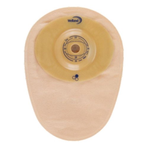 AURUM CONVEX COLORIT13-25 HNCS51310 OPA AURUM CONVEX COLORIT13-25 HNCS51310 OPA