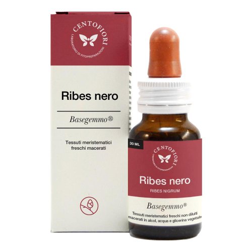 BASEGEMMO RIBES NERO 30ML BASEGEMMO RIBES NERO 30ML