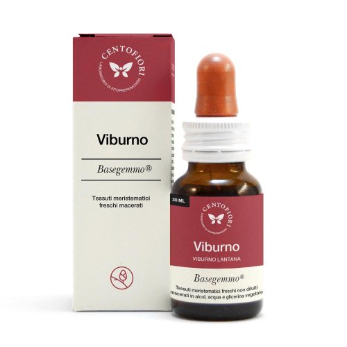 VIBURNO B/GEM 30ML CFI