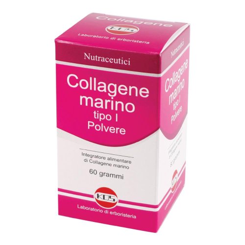 COLLAGENE MAR 60G POLV KOS