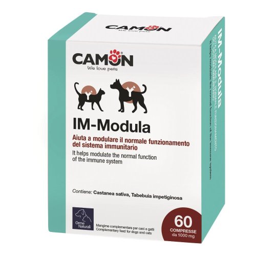 PROTECTION IM-MODULA 60 CPR