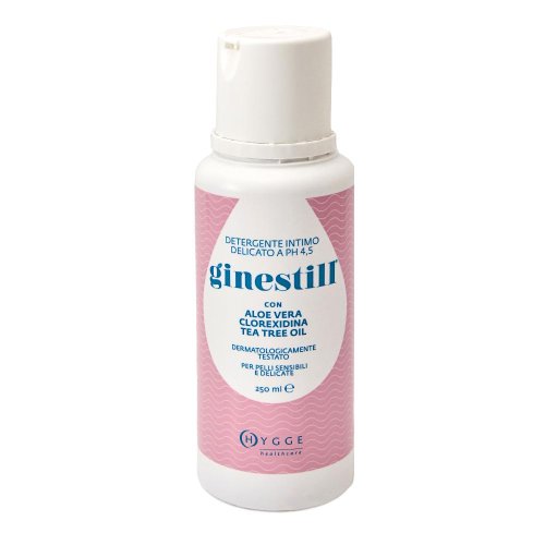 GINESTILL DETERGENTE LIQ 250ML