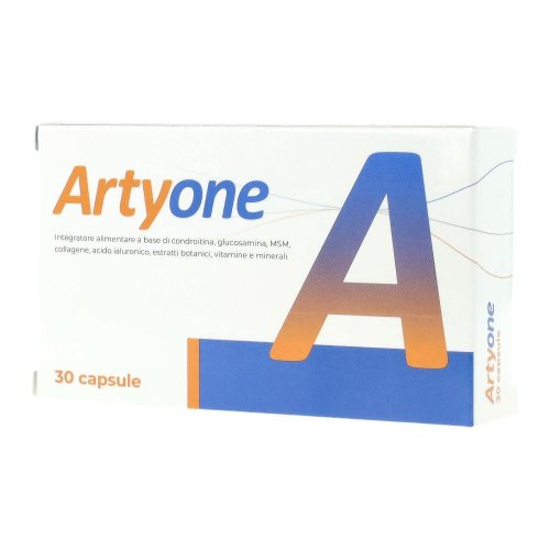 ARTYONE 30CPS SEIKOU